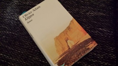 20160213_190248 (440x248)