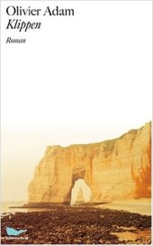 411ld9apijl-_sx308_bo1204203200_