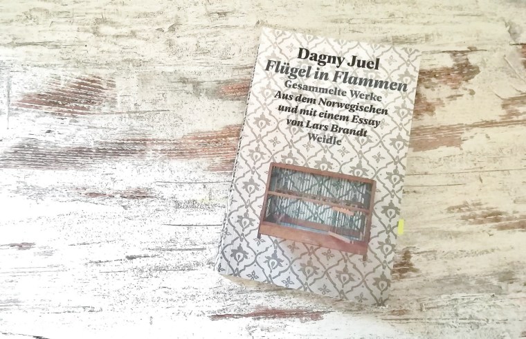 60791320_385688922033788_1183834828072550400_n